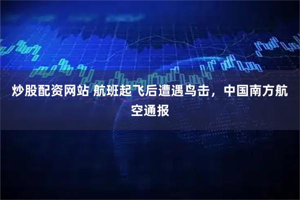 炒股配资网站 航班起飞后遭遇鸟击，中国南方航空通报